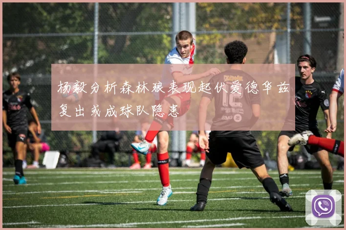 杨毅分析森林狼表现起伏爱德华兹复出或成球队隐患