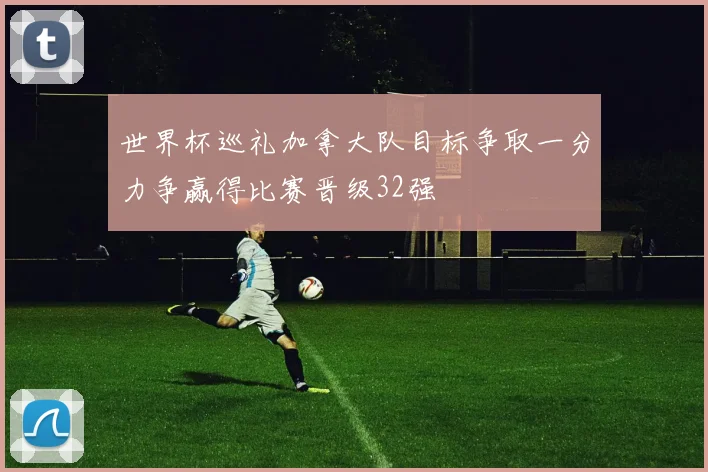 世界杯巡礼加拿大队目标争取一分力争赢得比赛晋级32强